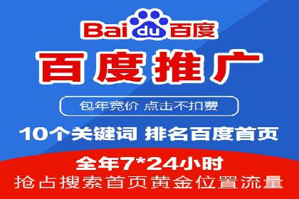 竞价广告的深度解析：以一知名品牌为例